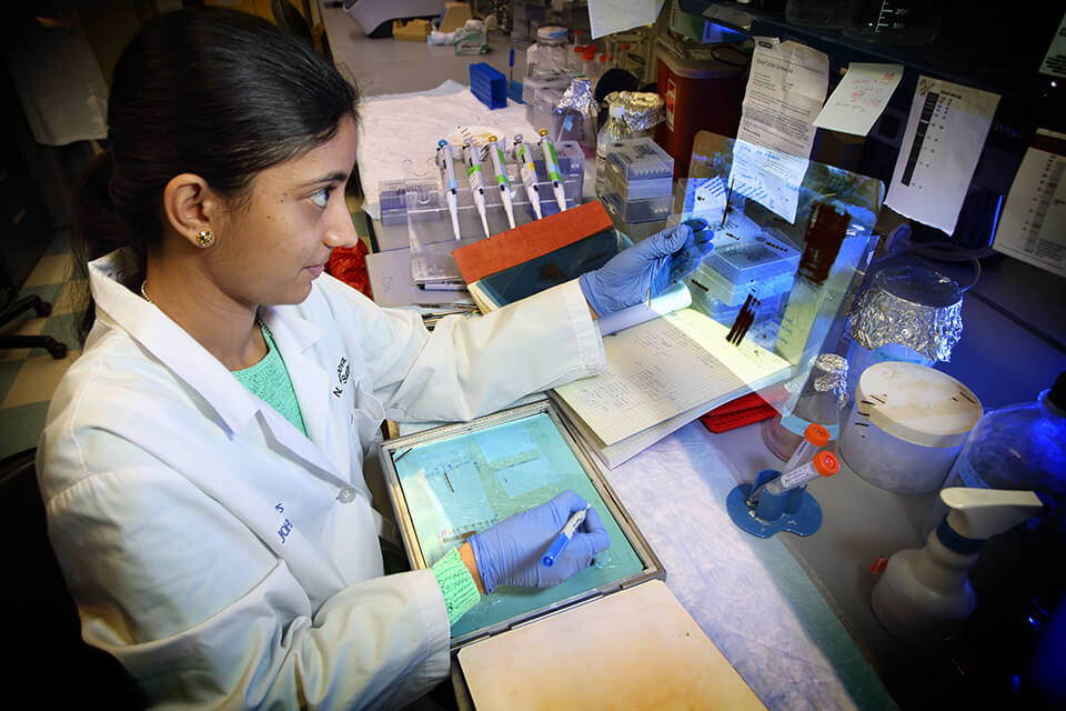 Researchers going over test results. 