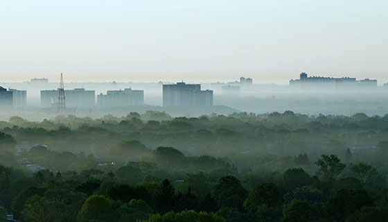 Fog sits over a woods and city