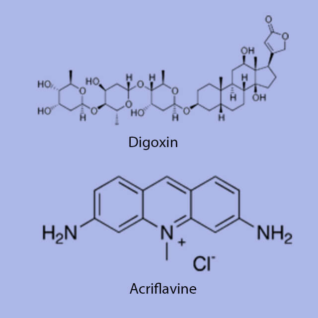 20082009 Anticancer drugs work by blocking HIF1 Featured Slide 11